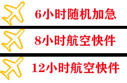 伊尔施空运代理快递公司,专业空运当天件